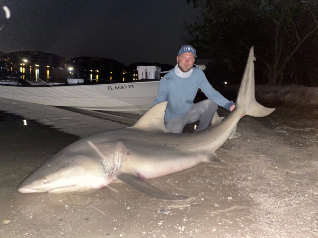 New Smyrna Beach Shark Fishing