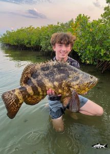 Types of fish to catch in New Smyrna Beach